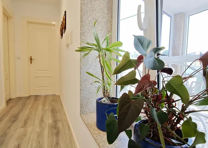 Well At Ferienhaus Vila Nova de Gaia